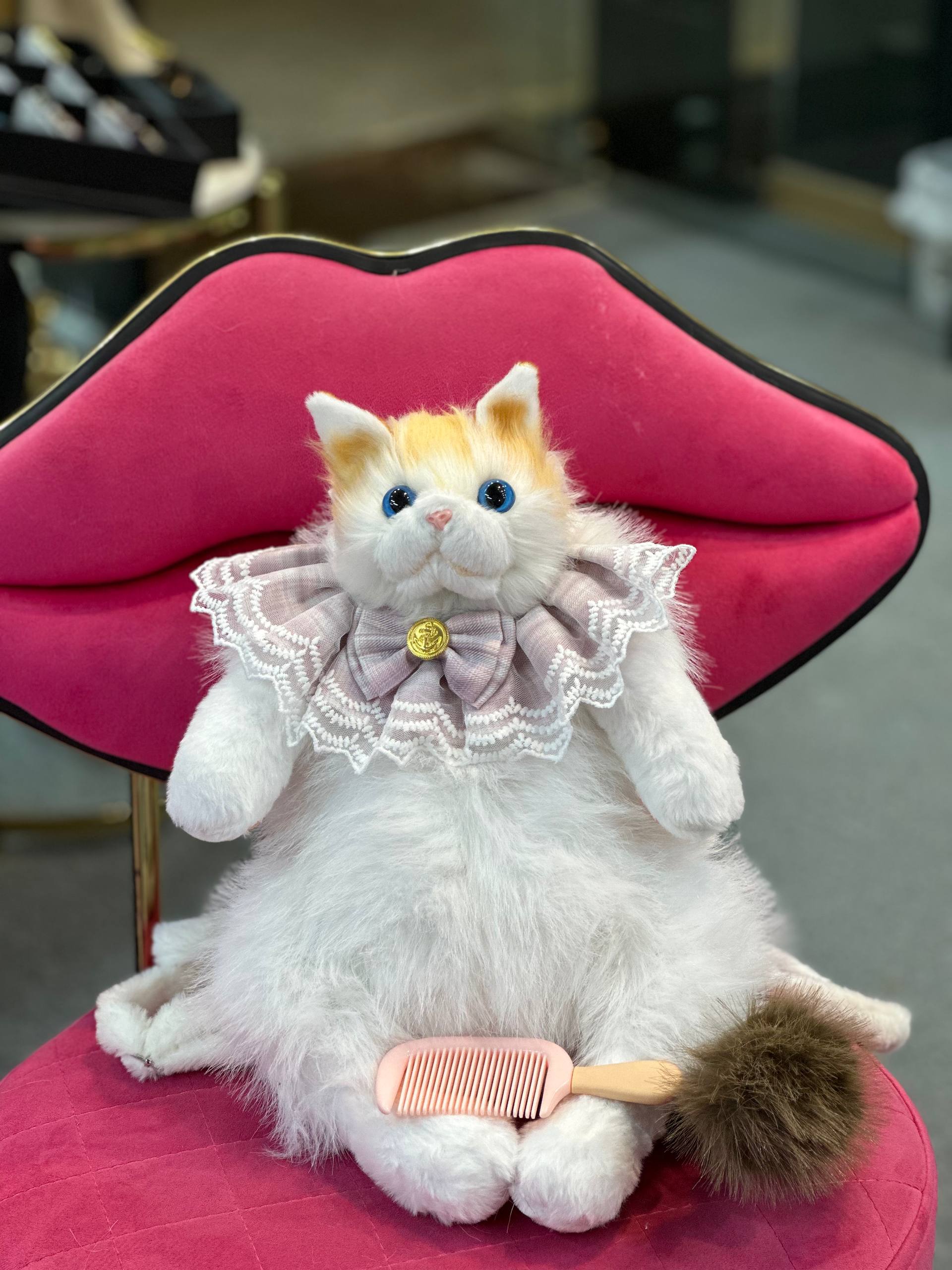 کوله‌ گربه خاص